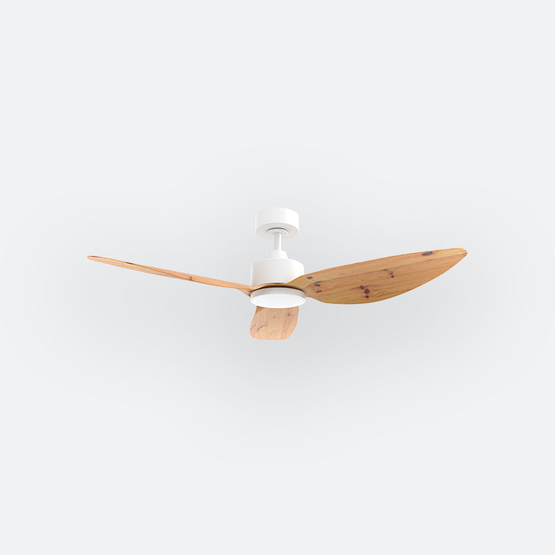 E10N Scandinavian DCI Decor Fan (NL2/SRF)