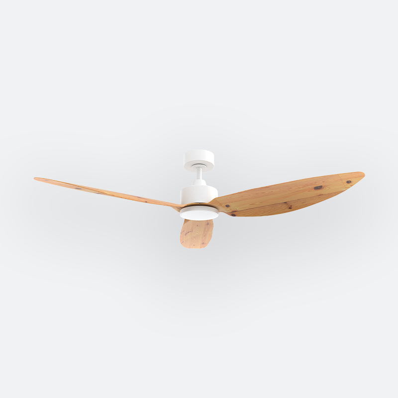 E10N Scandinavian DCI Decor Fan (NL2/SRF)