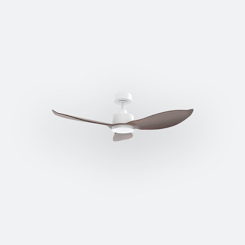 E30N Scandinavian DCI Decor Fan (NL2/SRF)
