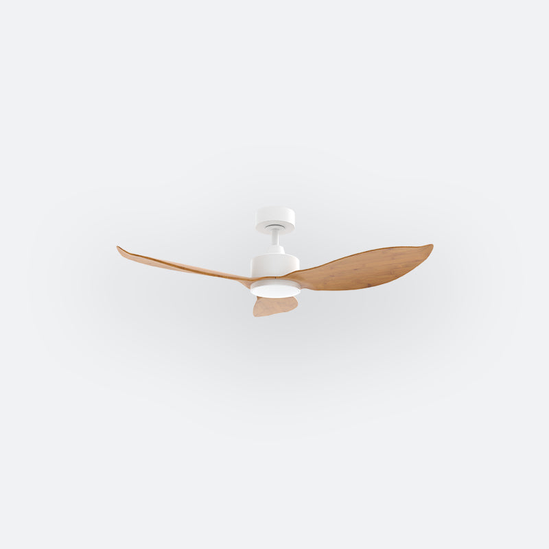 E30N Scandinavian DCI Decor Fan (NL2/SRF)