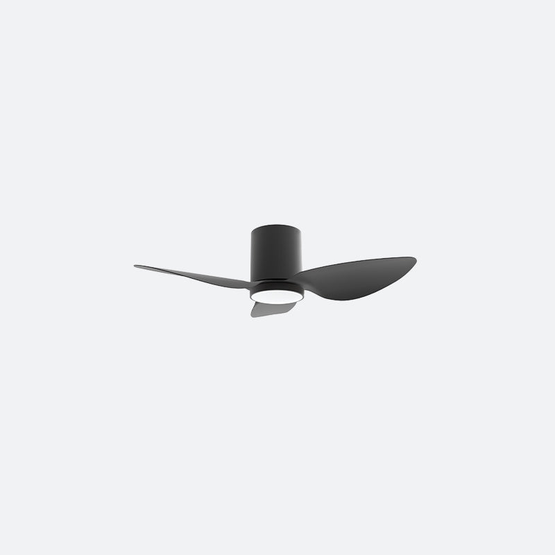 F10N Modern DFY Decor Fan (NL2/SRF)