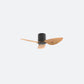 F10N Scandinavian DFY Decor Fan (NL2/V5F)