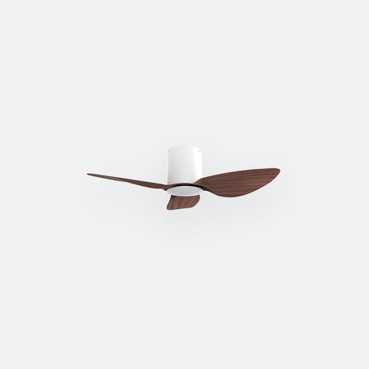 F10N Scandinavian DFY Decor Fan (NL2/V5F)