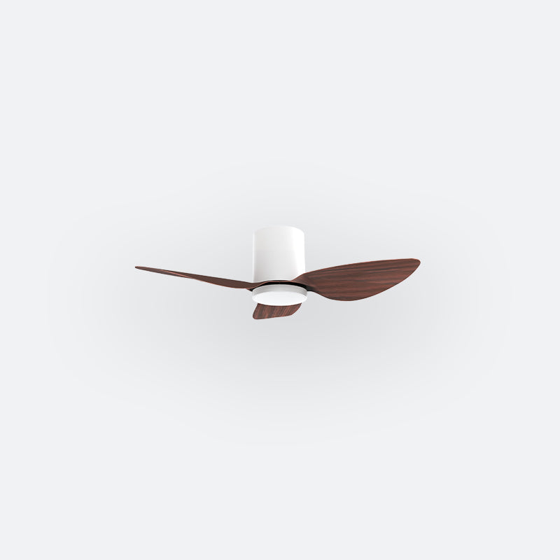 F10N Scandinavian DFY Decor Fan (NL2/SRF)
