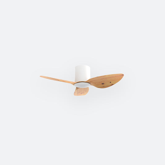 F10N Scandinavian DFY Decor Fan (NL2/V5F)