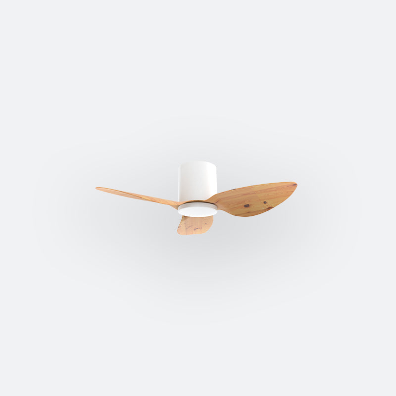 F10N Scandinavian DFY Decor Fan (NL2/SRF)