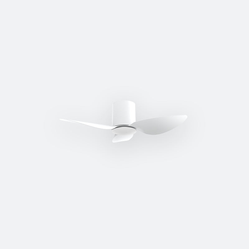 F10N Modern DFY Decor Fan (NL2/SRF)