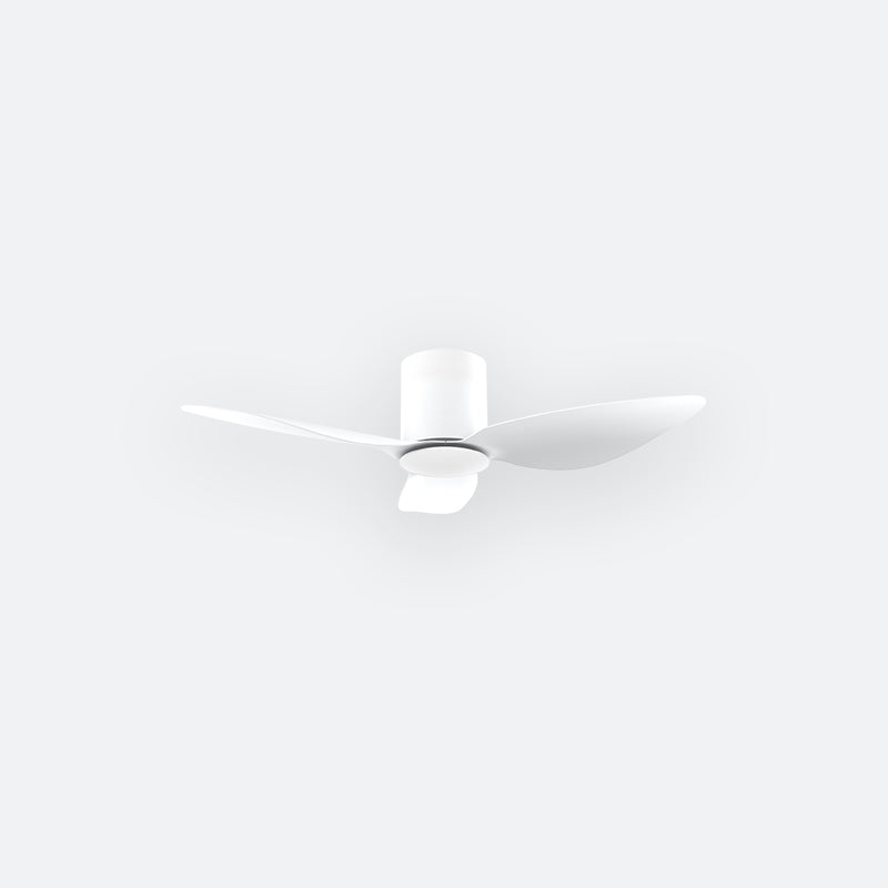 F10N Modern DFY Decor Fan (NL2/SRF)