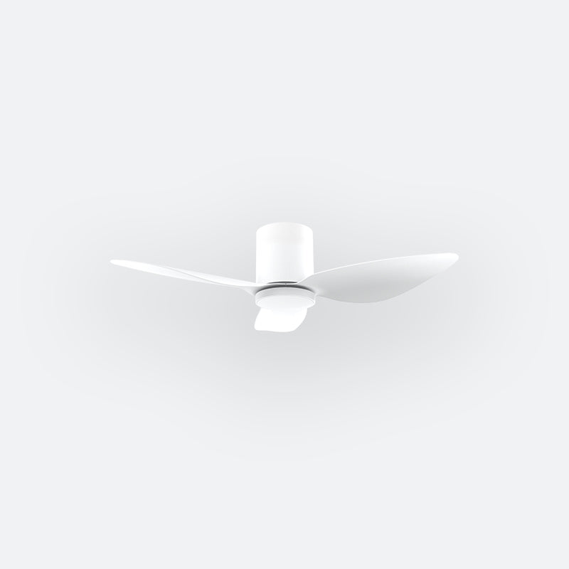 F10N Modern DFY Decor Fan (NL2/SRF)