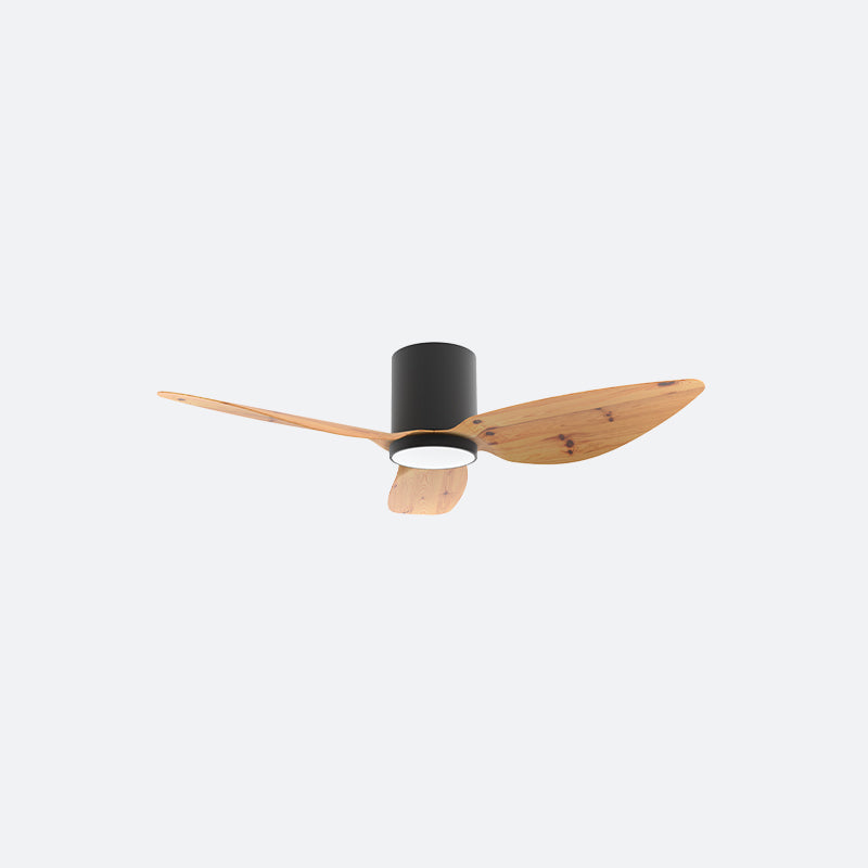 F10N Scandinavian DFY Decor Fan (NL2/SRF)