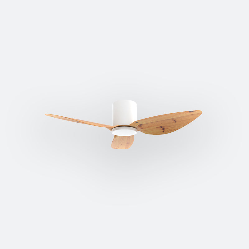 F10N Scandinavian DFY Decor Fan (NL2/SRF)