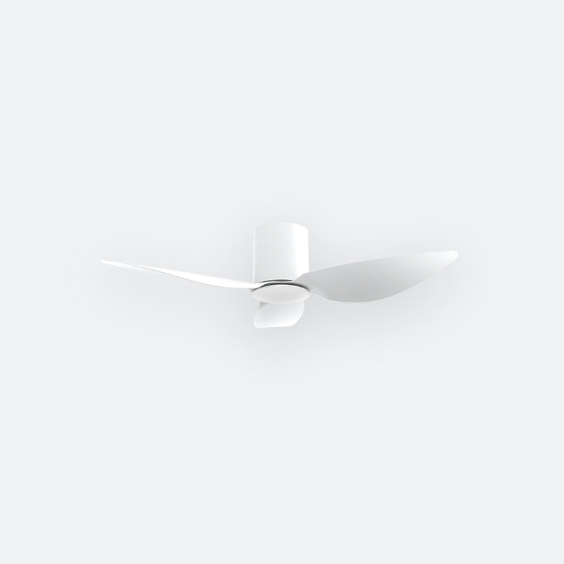 F10N Modern DFY Decor Fan (NL2/SRF)