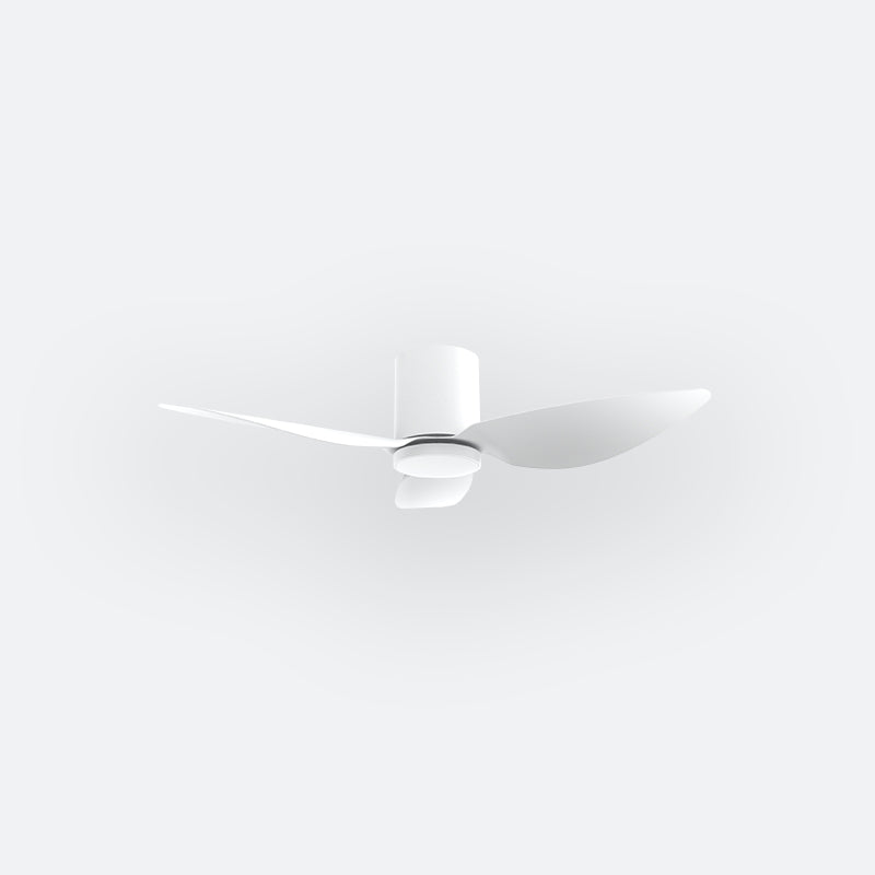 F10N Modern DFY Decor Fan (NL2/SRF)