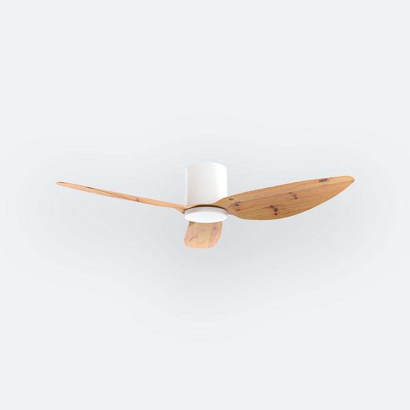 F10N Scandinavian DFY Decor Fan (NL2/SRF)