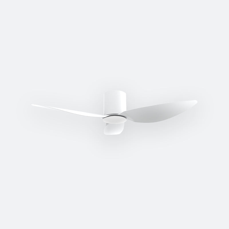 F10N Modern DFY Decor Fan (NL2/SRF)
