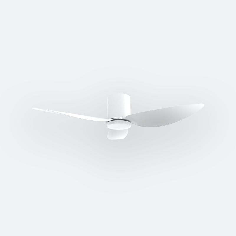 F10N Modern DFY Decor Fan (NL2/SRF)