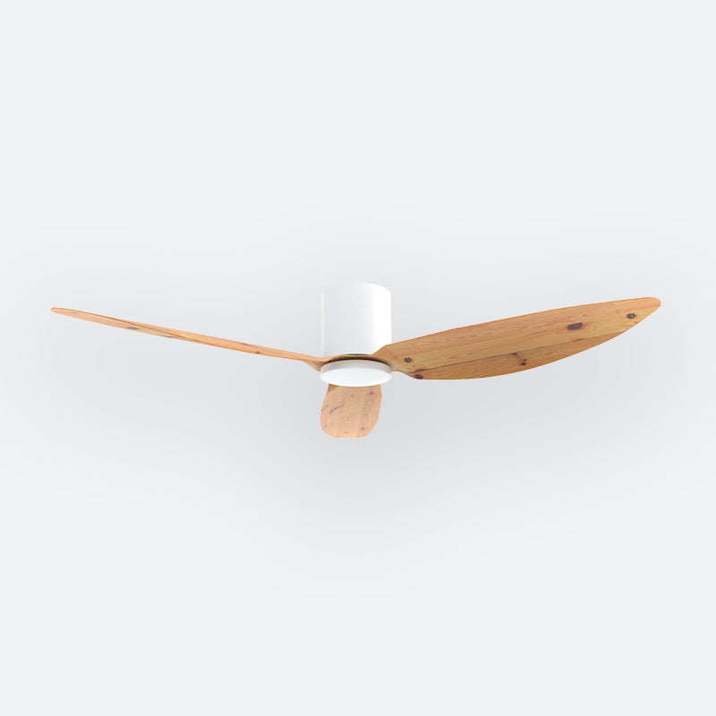 F10N Scandinavian DFY Decor Fan (NL2/SRF)