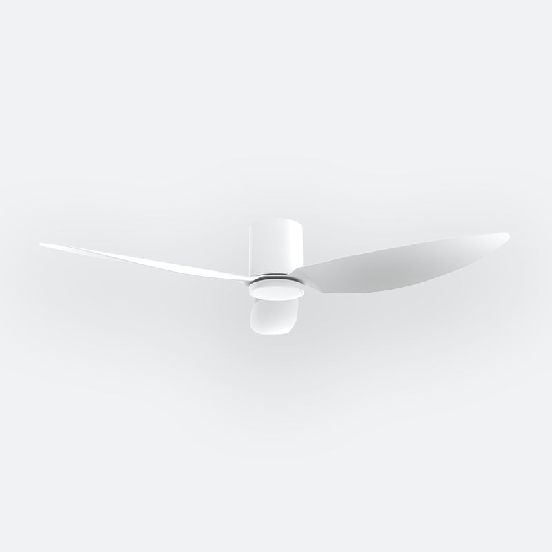 F10N Modern DFY Decor Fan (NL2/SRF)