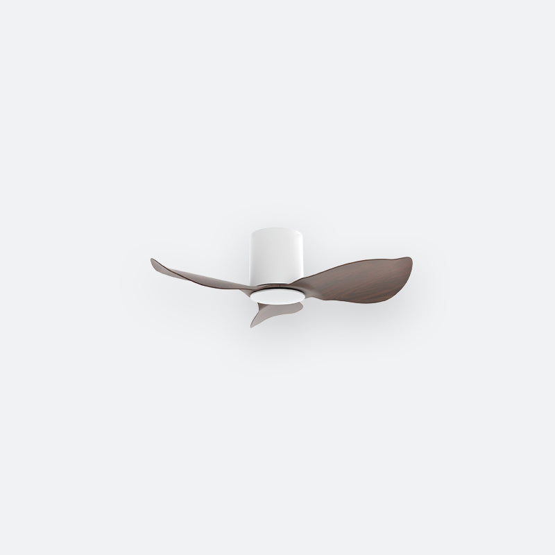 F30N Scandinavian DFY Decor Fan (NL2/SRF)