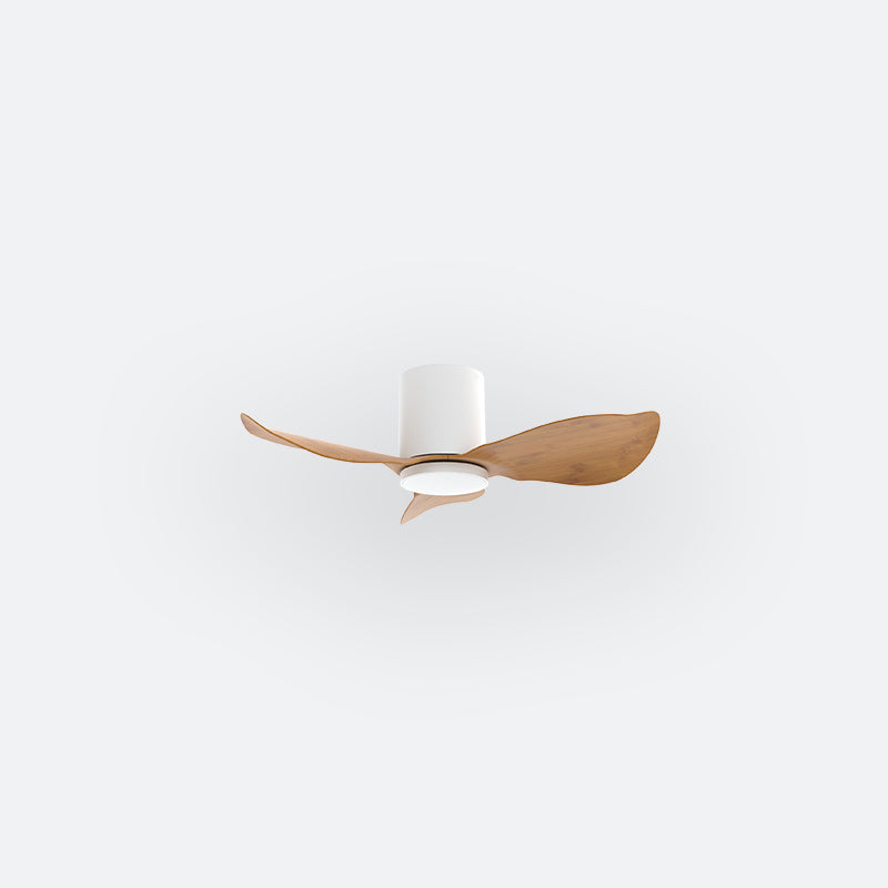 F30N Scandinavian DFY Decor Fan (NL2/SRF)