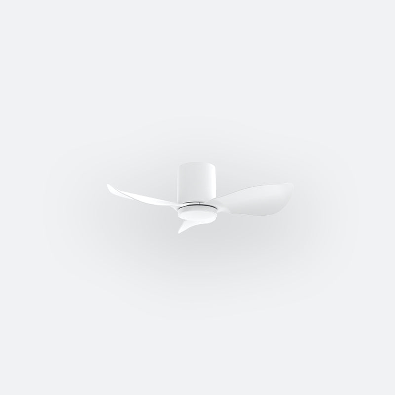 F30N Modern DFY Decor Fan (NL2/SRF)