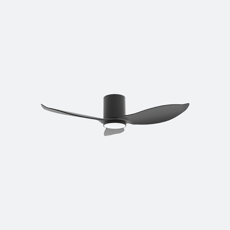 F30N Modern DFY Decor Fan (NL2/SRF)