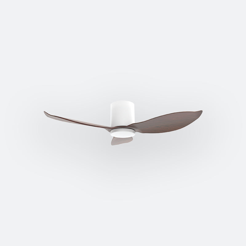 F30N Scandinavian DFY Decor Fan (NL2/SRF)