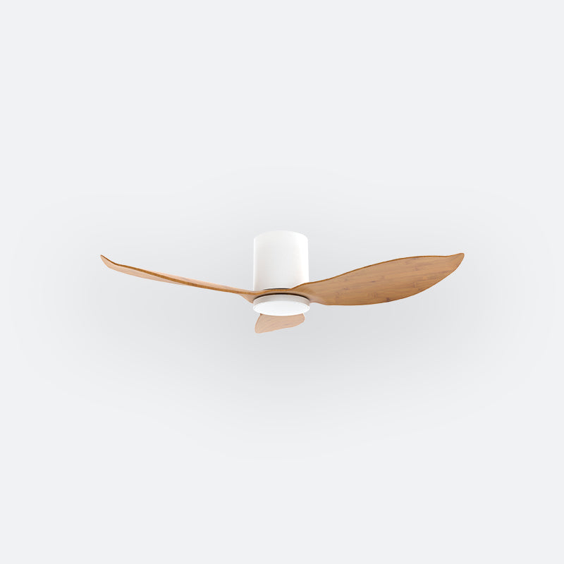F30N Scandinavian DFY Decor Fan (NL2/SRF)