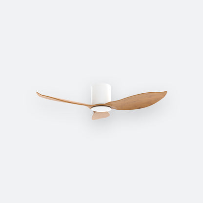 F30N Scandinavian DFY Decor Fan (NL2/V5F)
