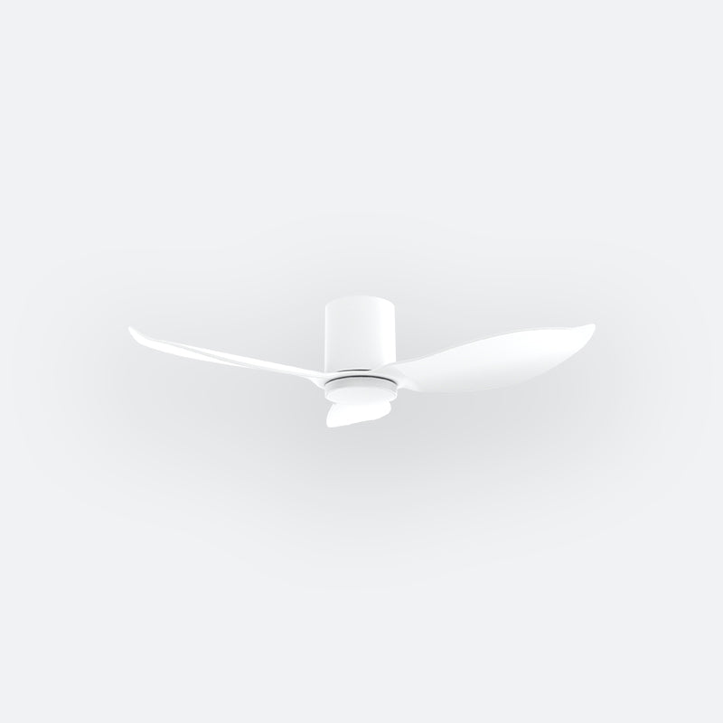 F30N Modern DFY Decor Fan (NL2/SRF)