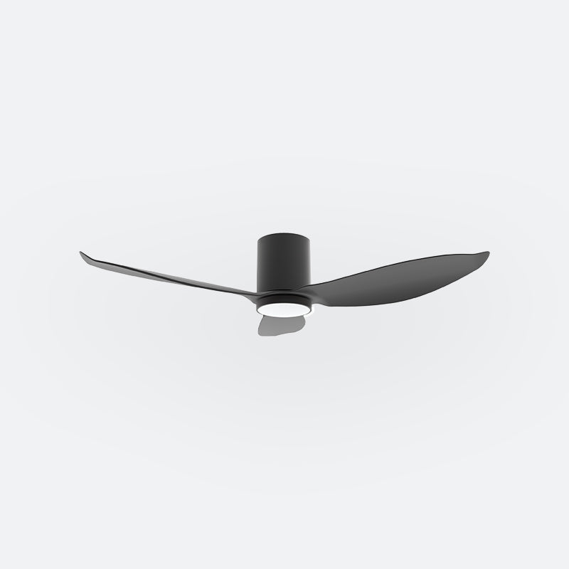 F30N Modern DFY Decor Fan (NL2/SRF)