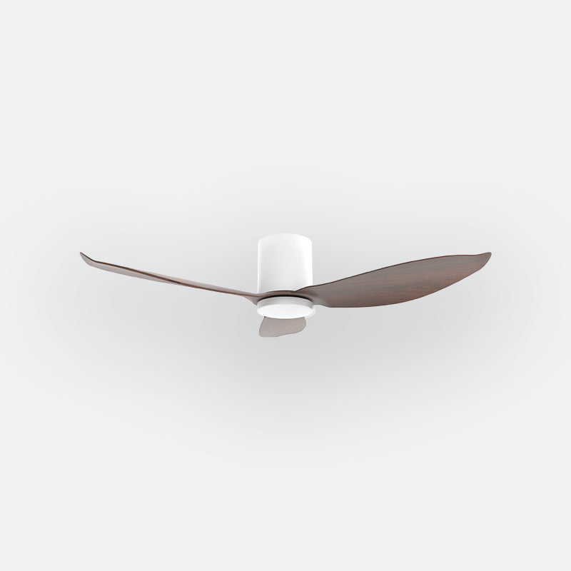 F30N Scandinavian DFY Decor Fan (NL2/SRF)