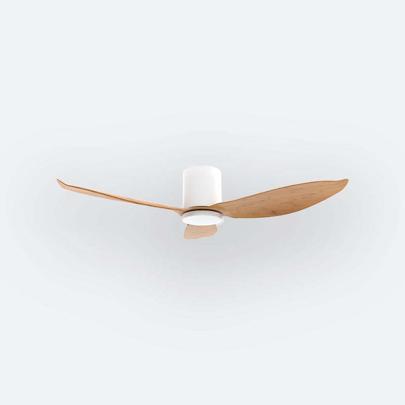 F30N Scandinavian DFY Decor Fan (NL2/SRF)
