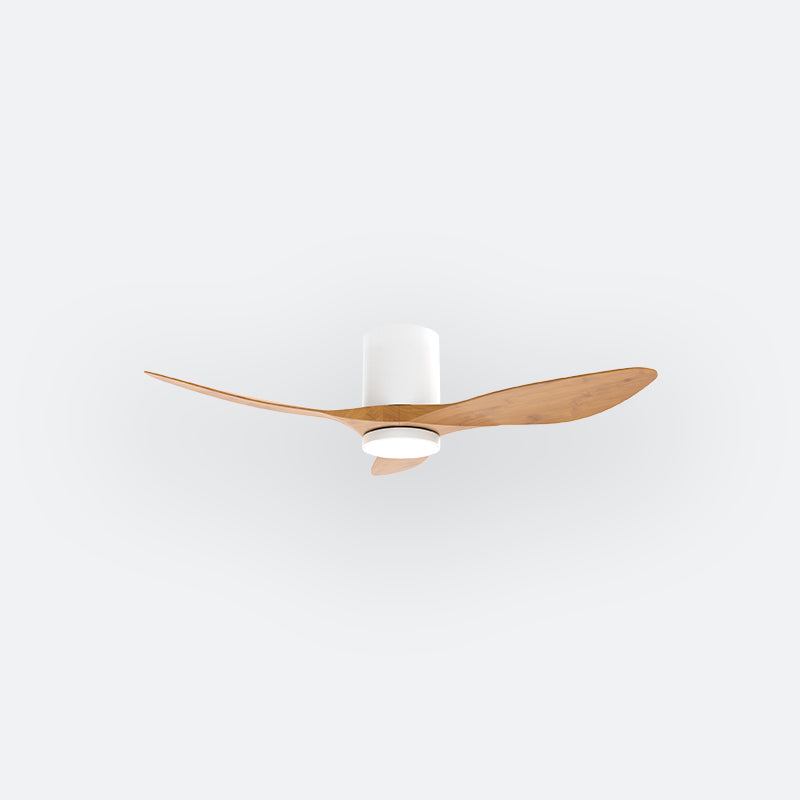 F50N Scandinavian DFY Decor Fan (NL0/SRF)