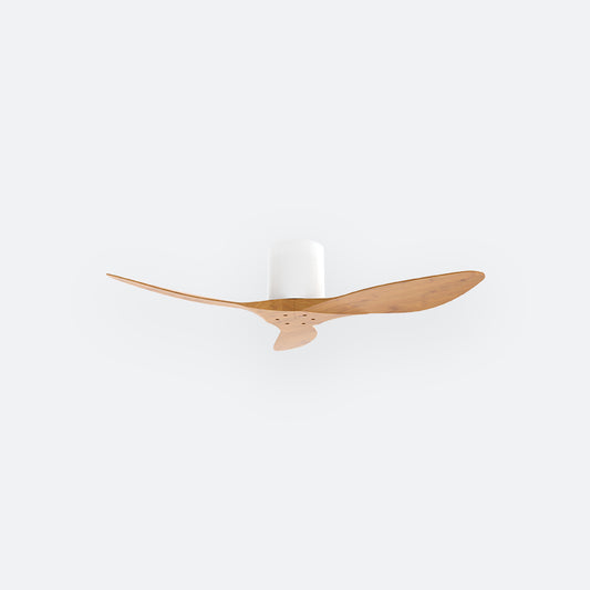 F50N Scandinavian DFY Decor Fan (NL0/V5F)