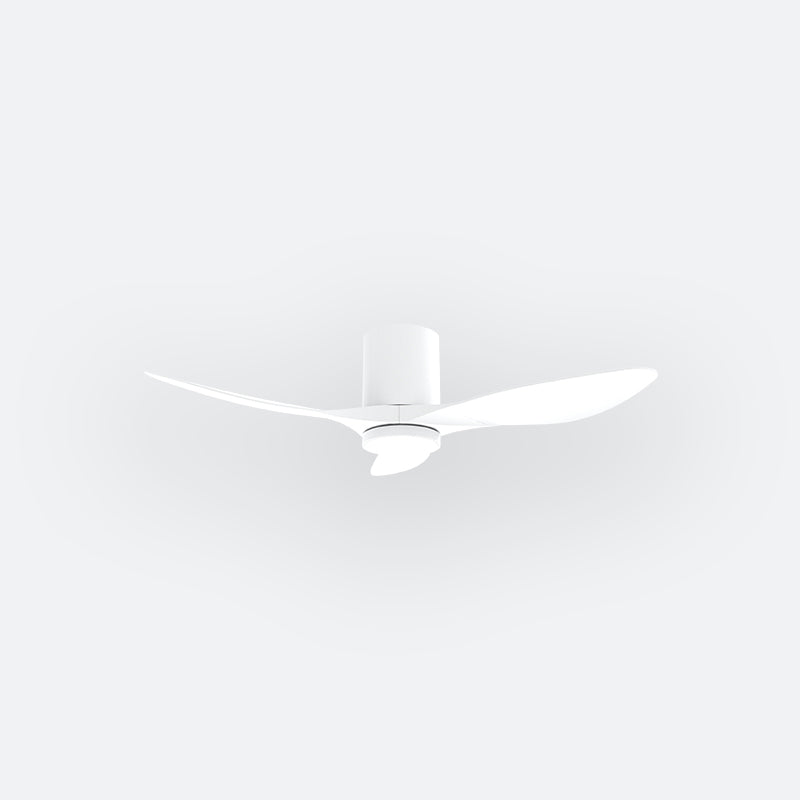 F50N Modern DFY Decor Fan (NL0/VSRF)