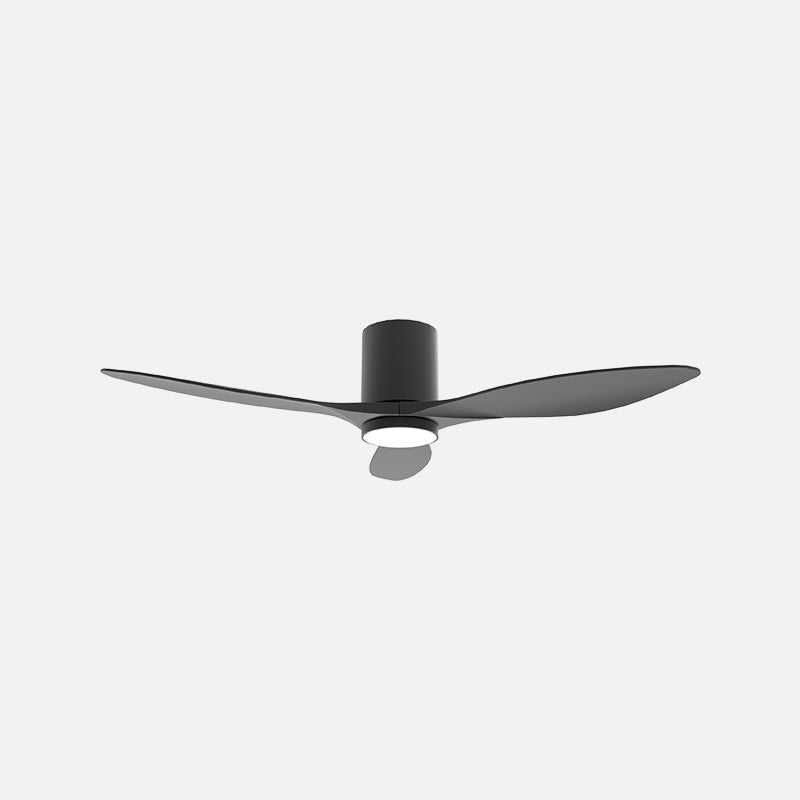 F50N Modern DFY Decor Fan (NL0/VSRF)