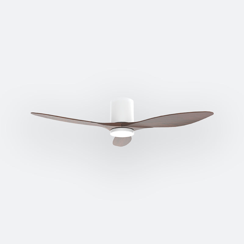 Y50N Scandinavian DFY Decor Fan (NL0/SRF)