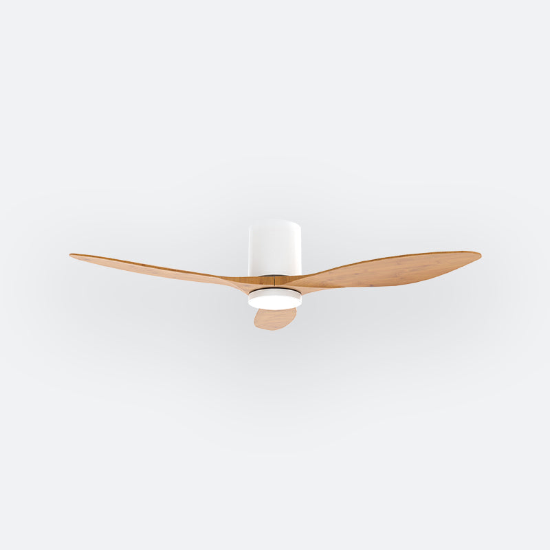 Y50N Scandinavian DFY Decor Fan (NL0/SRF)