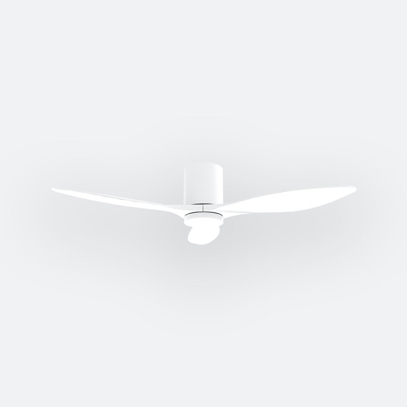 F50N Modern DFY Decor Fan (NL0/VSRF)