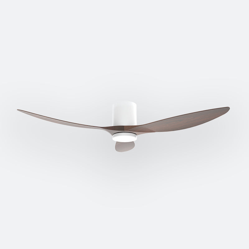 F50N Scandinavian DFY Decor Fan (NL0/SRF)