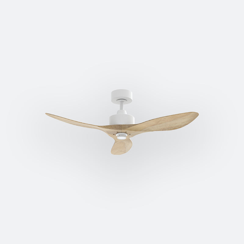 SLVE Scandinavian Decor Fans (NL0/SRF/MRF)