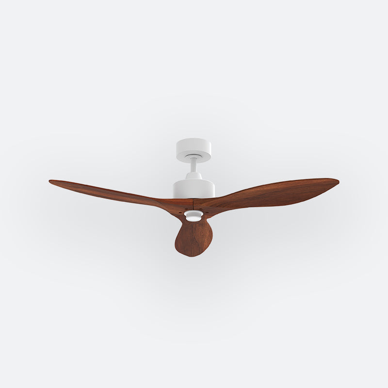 SLVE Scandinavian Decor Fans (NL0/SRF/MRF)