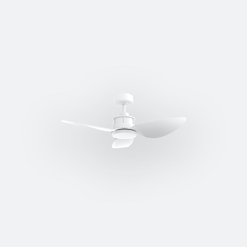 Y10N Modern DFY Decor Fan (NL2/SRF)