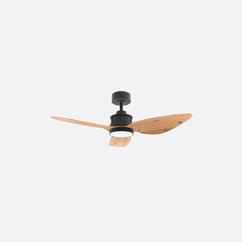 Y10N Scandinavian DFY Decor Fan (NL2/SRF)