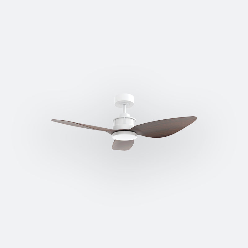 Y10N Scandinavian DFY Decor Fan (NL2/SRF)