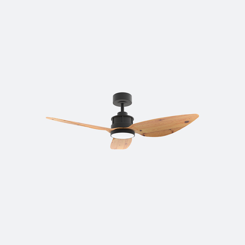Y10N Scandinavian DFY Decor Fan (NL2/SRF)