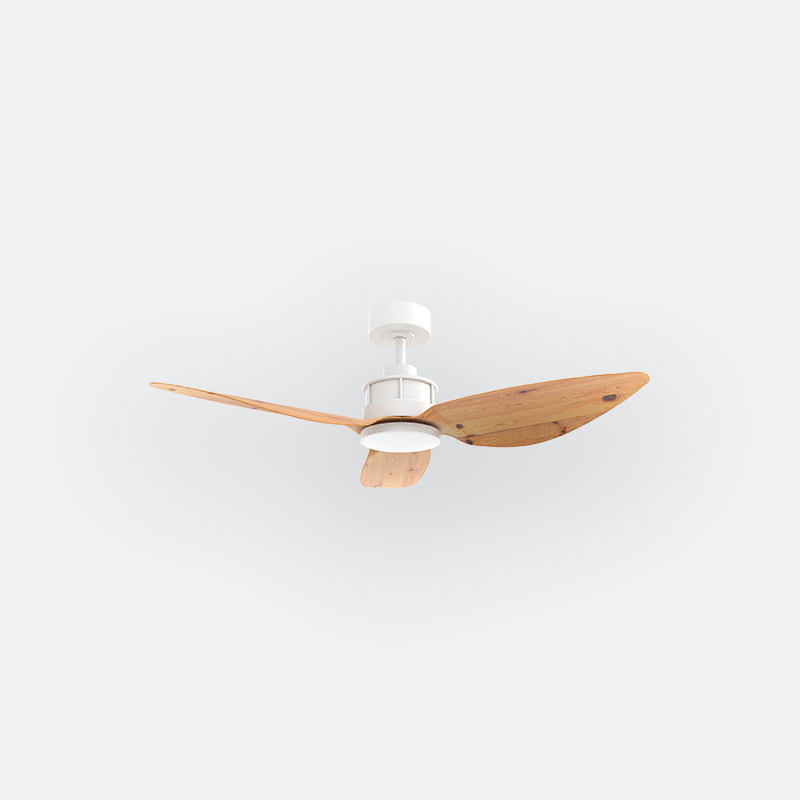 Y10N Scandinavian DFY Decor Fan (NL2/SRF)