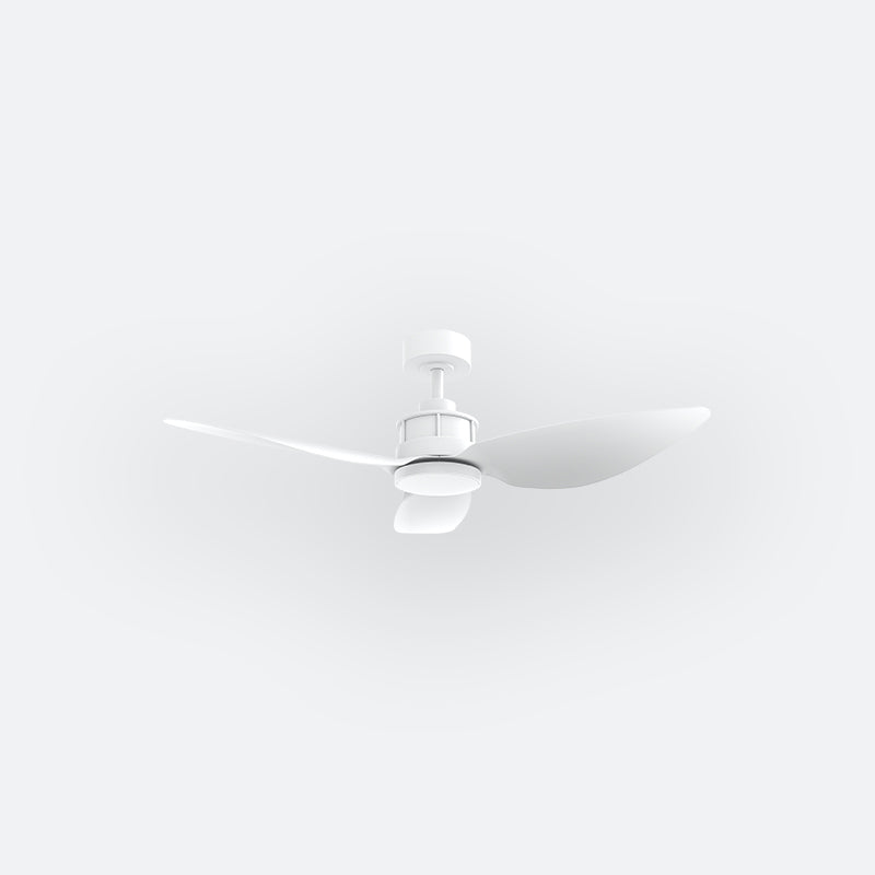 Y10N Modern DFY Decor Fan (NL2/SRF)
