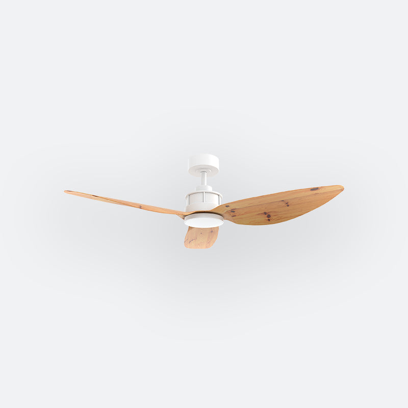 Y10N Scandinavian DFY Decor Fan (NL2/SRF)